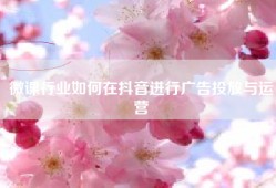 微课行业如何在抖音进行广告投放与运营