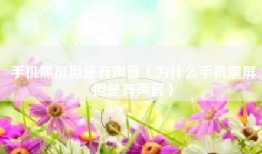 手机黑屏但是有声音（为什么手机黑屏但是有声音）