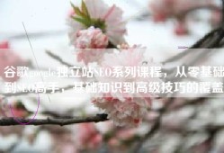 谷歌google独立站SEO系列课程，从零基础到SEO高手，基础知识到高级技巧的覆盖