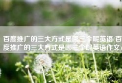 百度推广的三大方式是哪三个呢英语(百度推广的三大方式是哪三个呢英语作文)