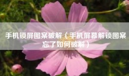 手机锁屏图案破解（手机屏幕解锁图案忘了如何破解）