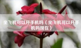 坐飞机可以开手机吗（坐飞机可以开手机吗现在）
