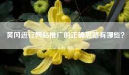 黄冈进行网站推广的正确思路有哪些？