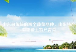 山东最传统的两个蔬菜品种，山东特产有哪些土特产青菜