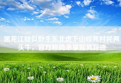 黑龙江疑似野生东北虎下山咬死村民两头牛，官方称尚未掌握其踪迹