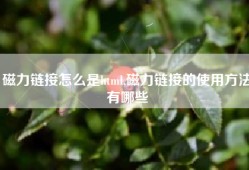 磁力链接怎么是html,磁力链接的使用方法有哪些