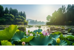 上海重磅发布！A股最热板块再迎来政策护航！