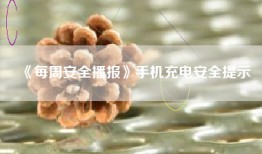 《每周安全播报》手机充电安全提示