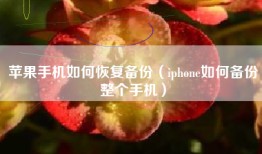 苹果手机如何恢复备份（iphone如何备份整个手机）