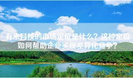 有米科技的市场定位是什么？这种定位如何帮助企业实现差异化竞争？