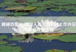 揭秘百度SEO项目人员，他们的工作内容与职业发展之路