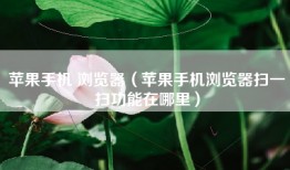 苹果手机 浏览器（苹果手机浏览器扫一扫功能在哪里）