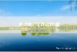 网络推广工作计划3篇