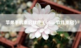苹果手机重启软件（iphone软件重启）