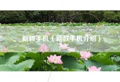 新颖手机（新款手机介绍）