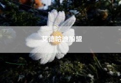 艾德哈迪加盟