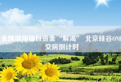 金隅调用项目资金“解渴” 北京硅谷ONE交房倒计时