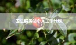 卫生服务站个人工作计划