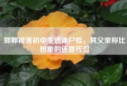 邯郸被害初中生遗体尸检，其父亲称比想象的还要残忍
