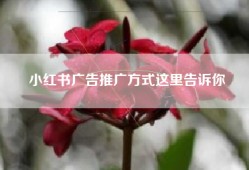 小红书广告推广方式这里告诉你