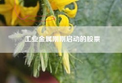 工业金属刚刚启动的股票