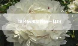 神经病和精神病一样吗