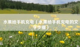 水果给手机充电（水果给手机充电的文字步骤）