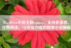WordPress小说主题wpnovo，支持多语言、付费阅读、VIP会员功能的精美小说模板