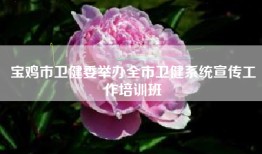 宝鸡市卫健委举办全市卫健系统宣传工作培训班