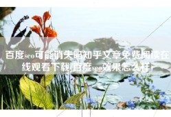 百度seo可能消失吗知乎文章免费阅读在线观看下载(百度seo效果怎么样)