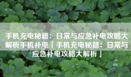 手机充电秘籍：日常与应急补电攻略大解析手机补电「手机充电秘籍：日常与应急补电攻略大解析」