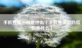 手机登陆密码是什么（手机登录密码指的是什么）
