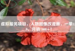 虚拟服务项目，人物图像改漫画，一单13.9，月销7000+！