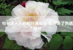 句句深入人心的经典说说 看完哭了伤感短句