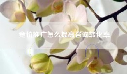 竞价推广怎么提高咨询转化率