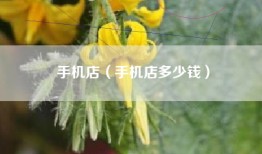 手机店（手机店多少钱）