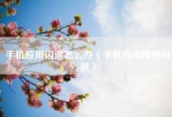 手机应用闪退怎么办（手机应用程序闪退）
