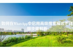 如何在WhatsApp中启用高级搜索模式？详细步骤解析
