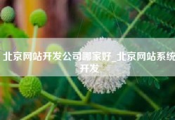 北京网站开发公司哪家好_北京网站系统开发