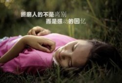 大S独守空房，具俊晔离开湾湾，回韩国与友人度假，享受生活