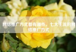 网络推广方式都有哪些，七大主流的网络推广方式