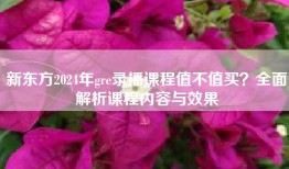 新东方2024年gre录播课程值不值买？全面解析课程内容与效果
