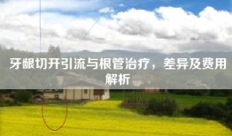 牙龈切开引流与根管治疗，差异及费用解析