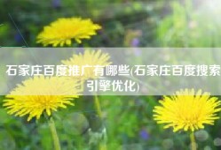 石家庄百度推广有哪些(石家庄百度搜索引擎优化)