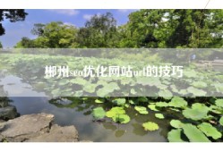 郴州seo优化网站url的技巧
