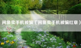 闲鱼卖手机被骗（闲鱼卖手机被骗红章）