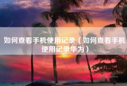 如何查看手机使用记录（如何查看手机使用记录华为）