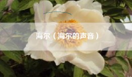 海尔（海尔的声音）