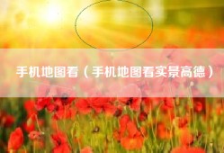 手机地图看（手机地图看实景高德）