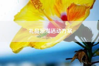 礼品派发活动方案